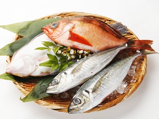 ３月７日は「さかなの日」。魚偏の漢字を見てみよう。