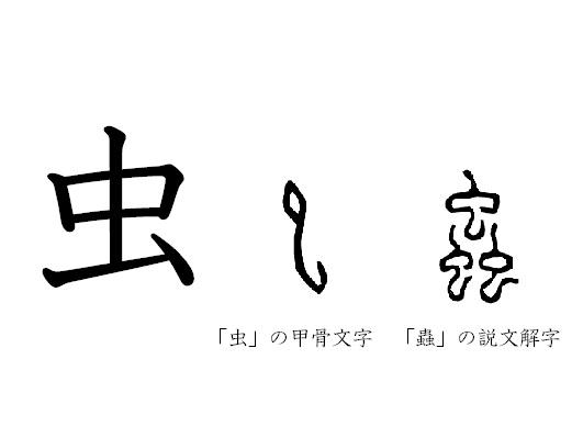 漢字コラム３８「虫」鳥も亀も魚も人も、みんなムシなんだ　