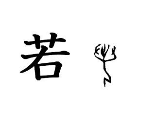 漢字コラム３９「若」草冠は草ではない？　