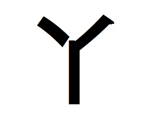 アルファベットの“Ｙ”に見えるこの文字は何者？