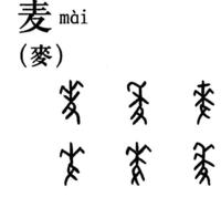 甲骨文字の「麦」