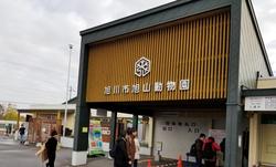 旭山動物園
