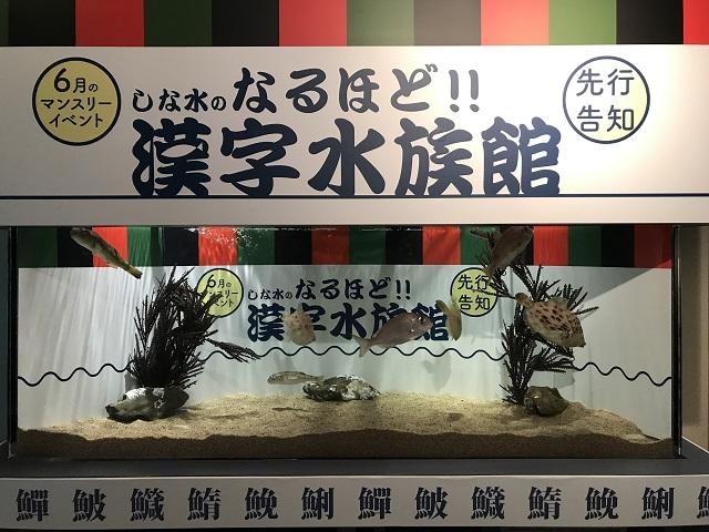 しながわ水族館で漢字イベントが開催中！写真スポットも