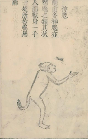 魑魅魍魎の魑魅の絵。横を向いた猿のような生き物。