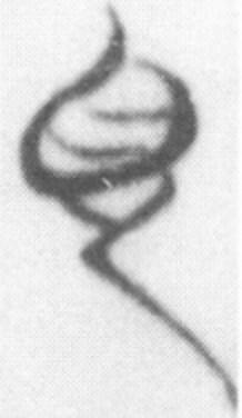 (1B)郭店楚簡、老子、見