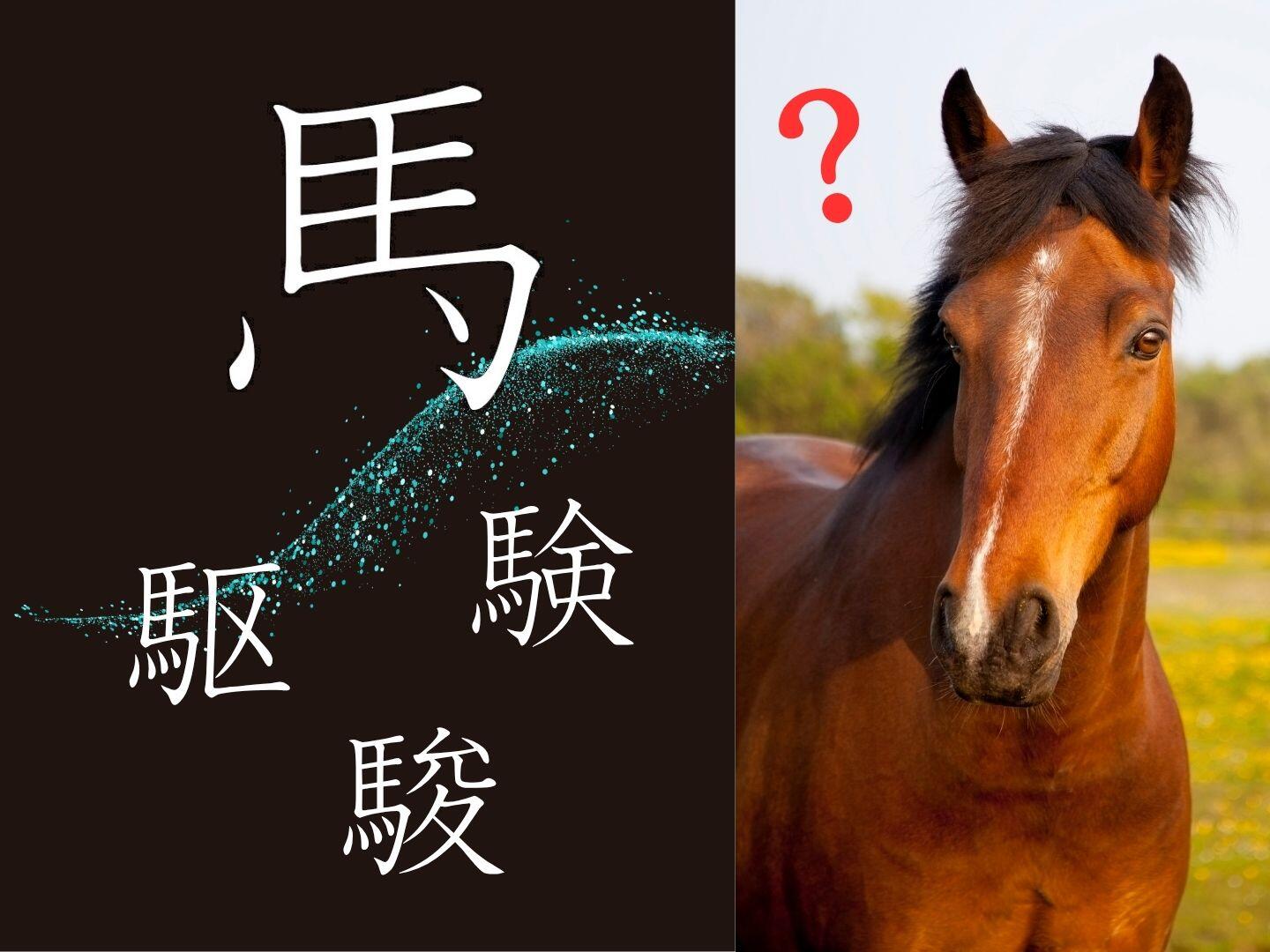 再び漢字の「馬」の点について|やっぱり漢字が好き63
